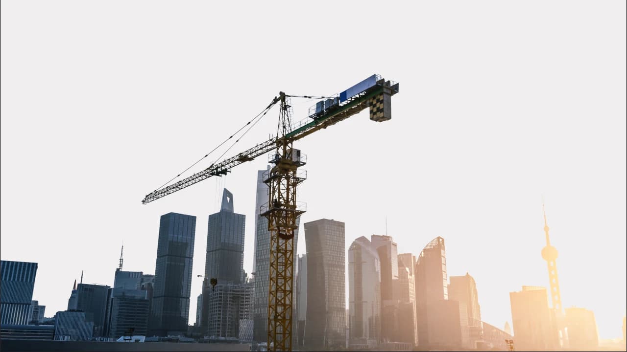 Our profiles background